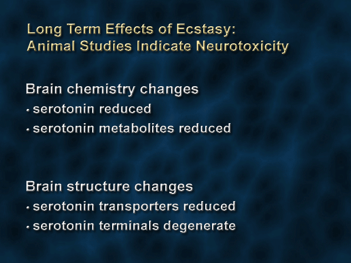 Long Term Effects of Ecstasy